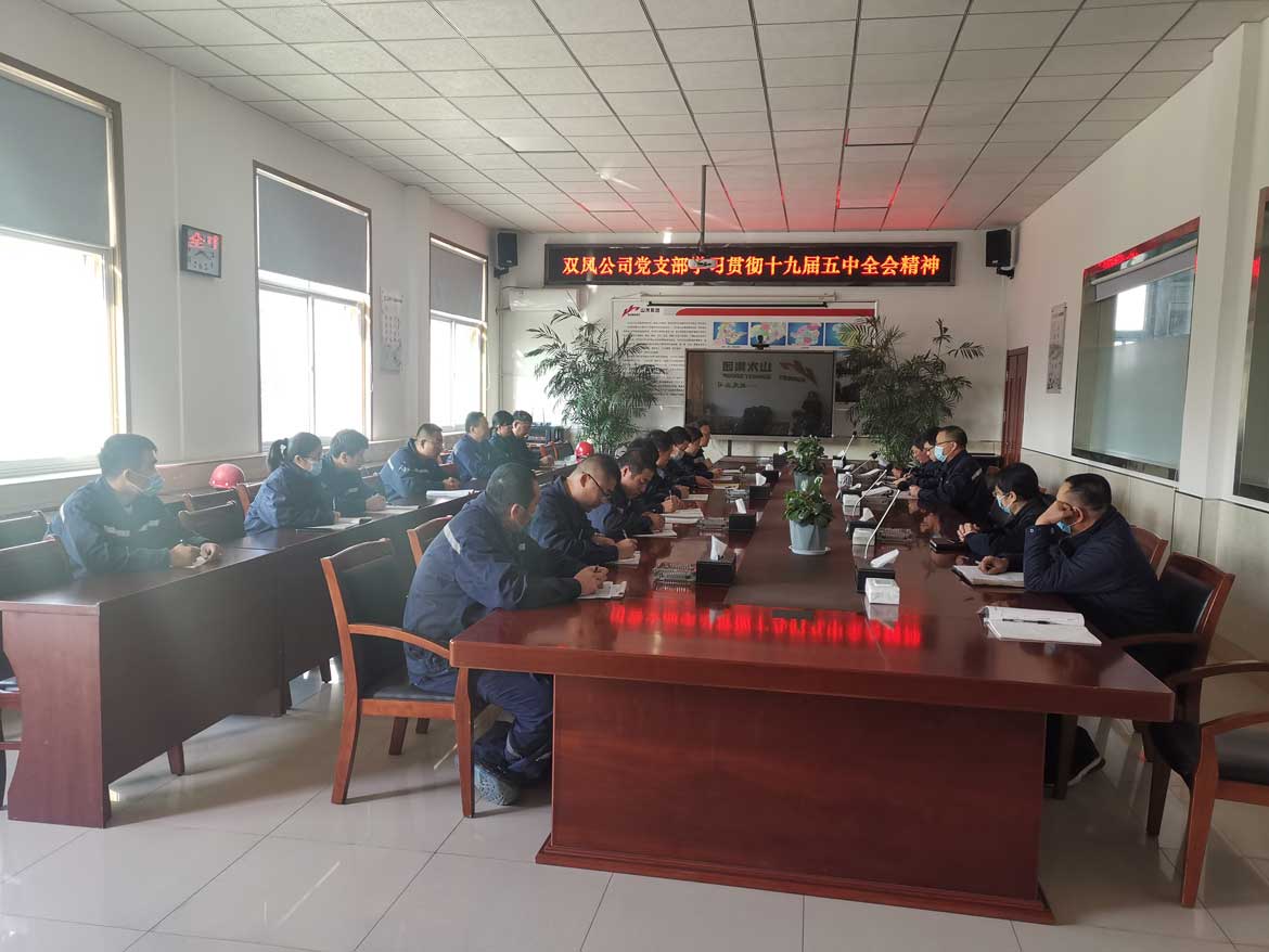 双凤公司党支部学习贯彻党的十九届五中全会精神