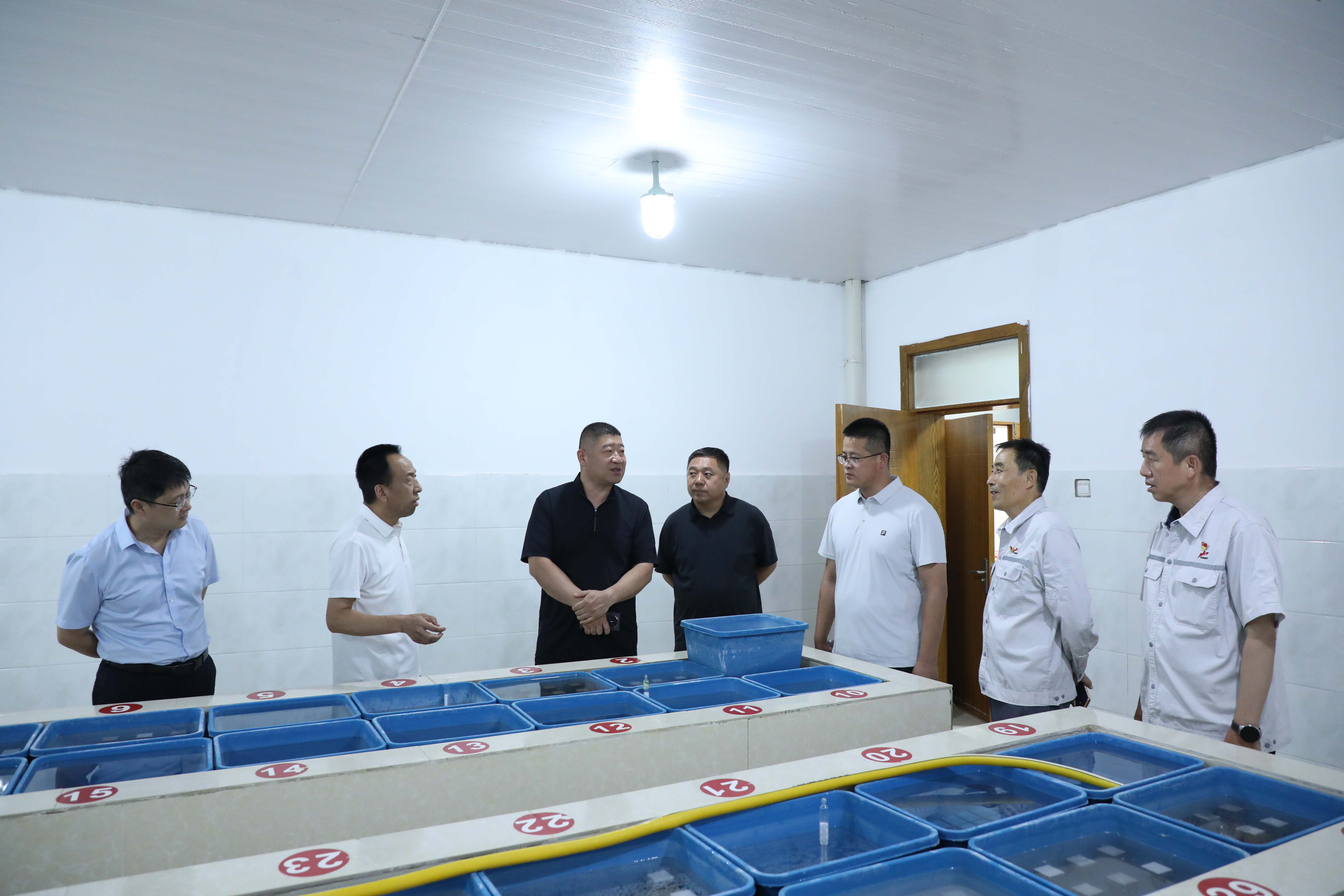 喀什地区招商局党组成员、副局长逄子剑一行到疏勒公司调研 (1)